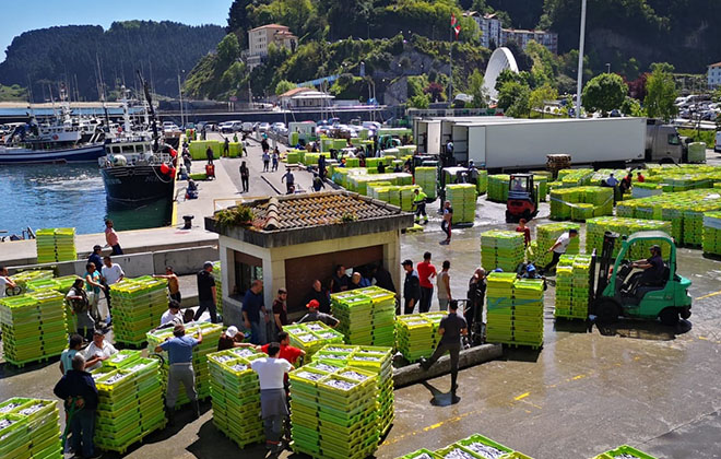 Cajas para pescado