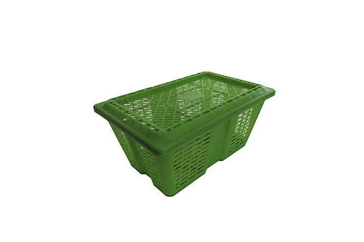 Greentray Basket 3Kg