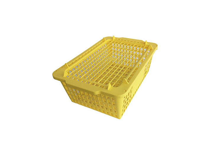 Greentray Basket 5Kg