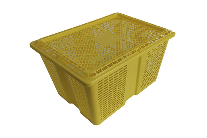Greentray Basket 9Kg