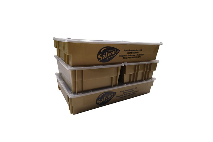 Greentray Mini 1 + 2 Kg