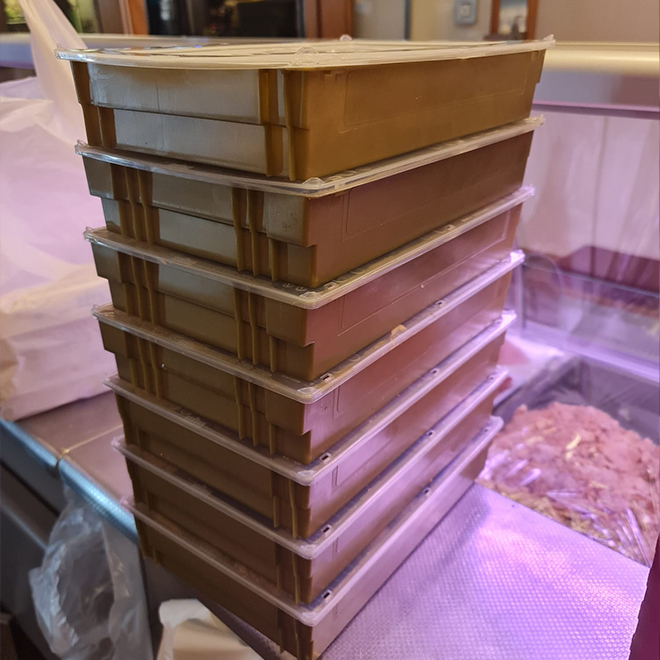 Cajas para envíos a domicilio