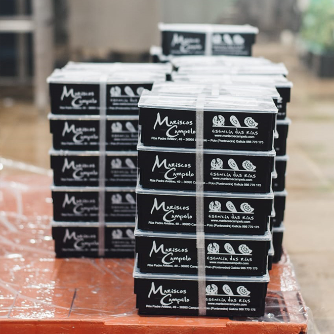 Cajas para envíos a domicilio