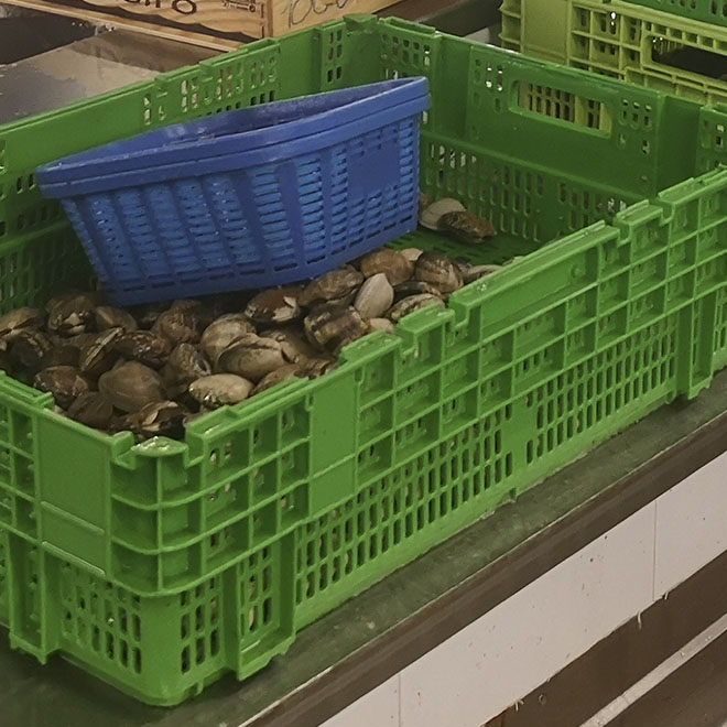 Cajas para Marisco