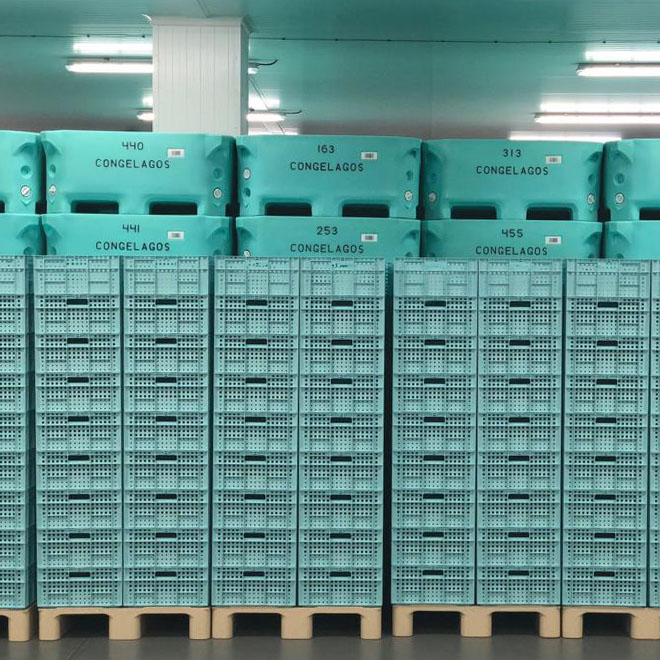 Cajas para congelación