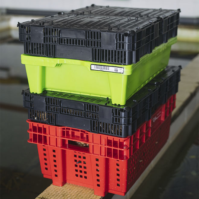 Base con ruedas para cajas